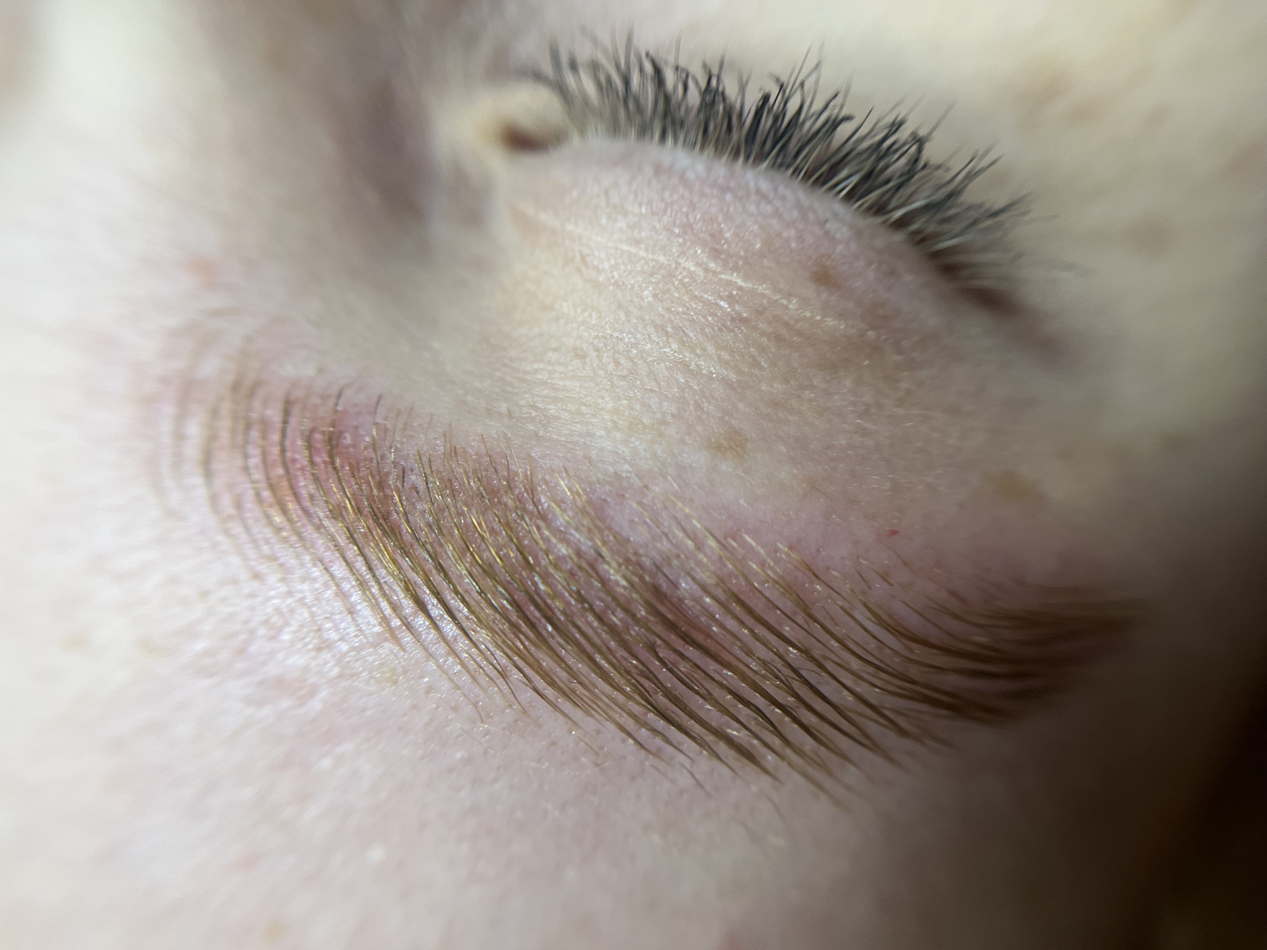 اکستنشن مژه و لیفت ابرو محمدی