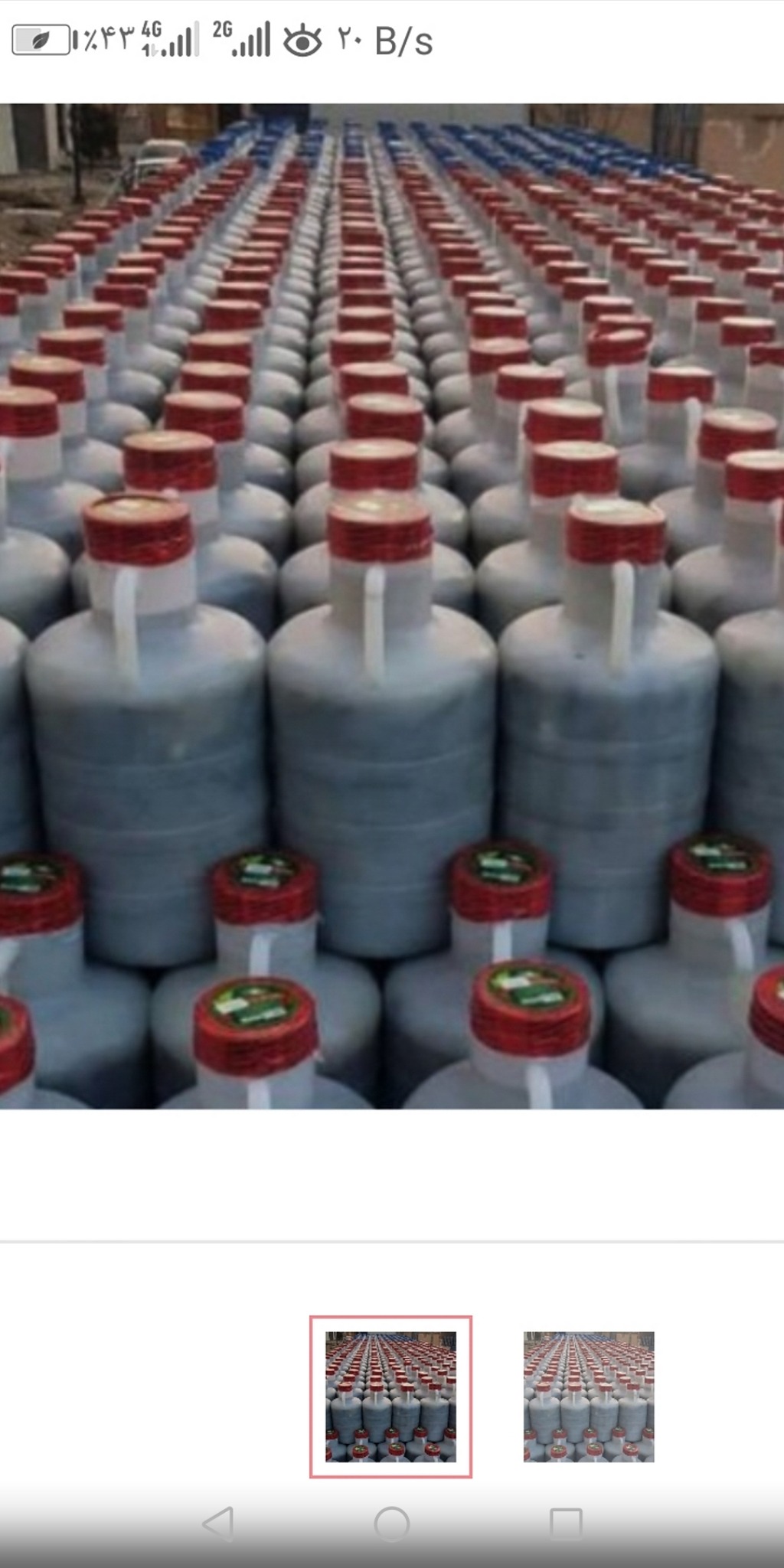 پخش تخمه و خیارشور و زیتون طارم