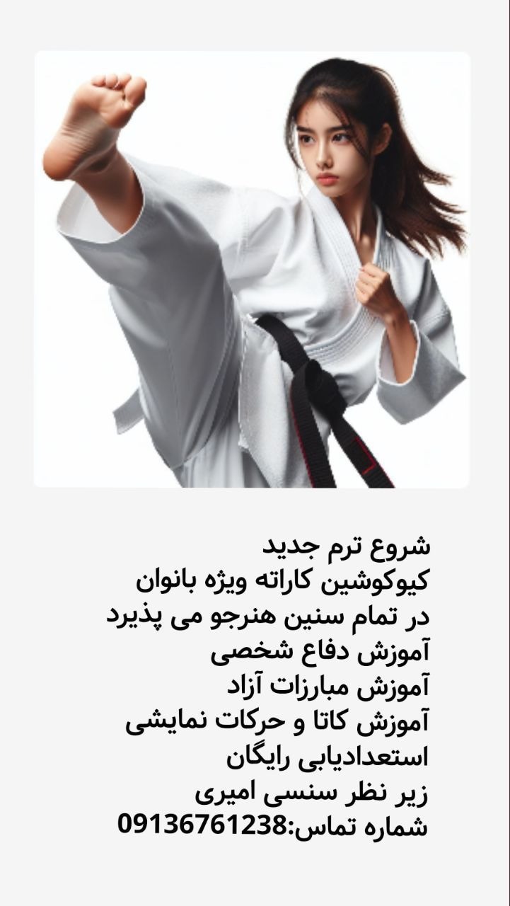 باشگاه معکوس کیوکوشین کاراته رزمی