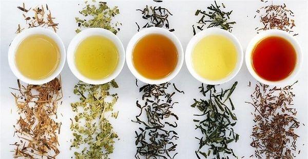 دکتر رقیه زارع متخصص طب سنتی ایرانی