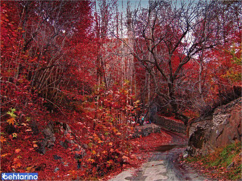 روستای جاغرق