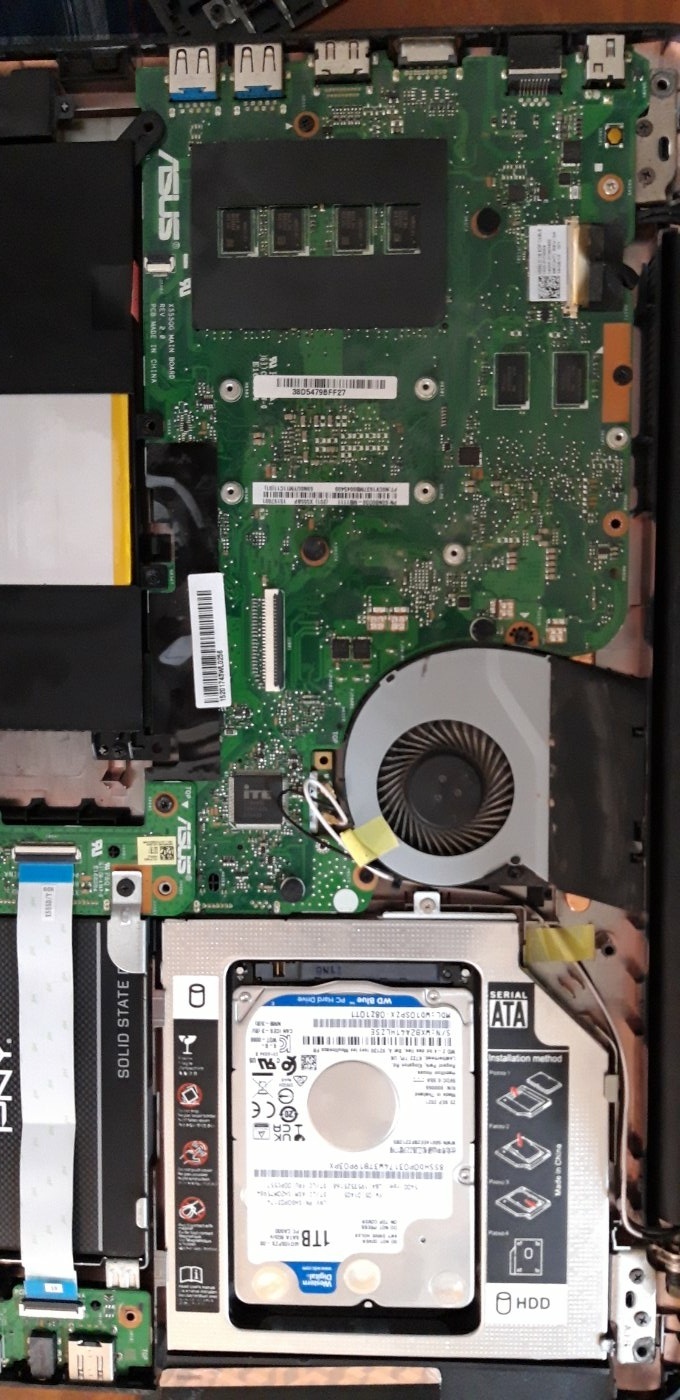 مسعود ارض اقدس