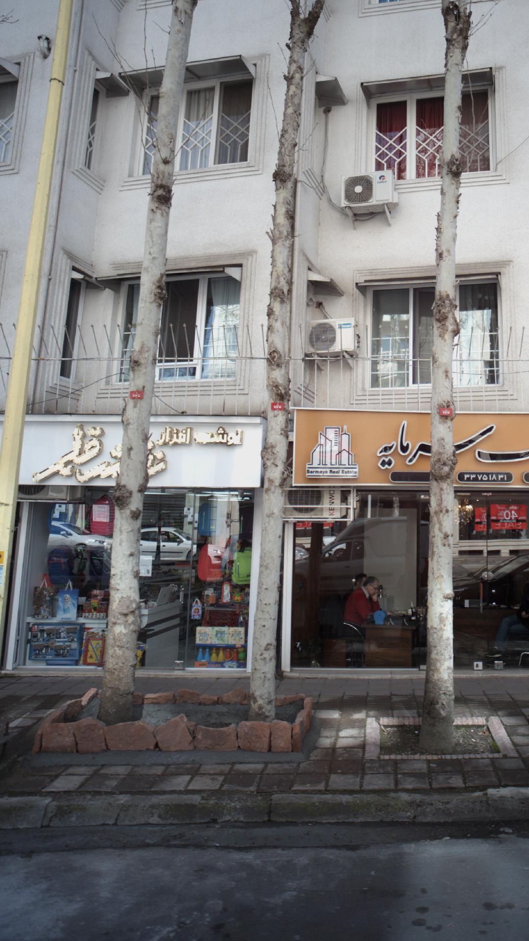 نوشت افزار نقش قلم