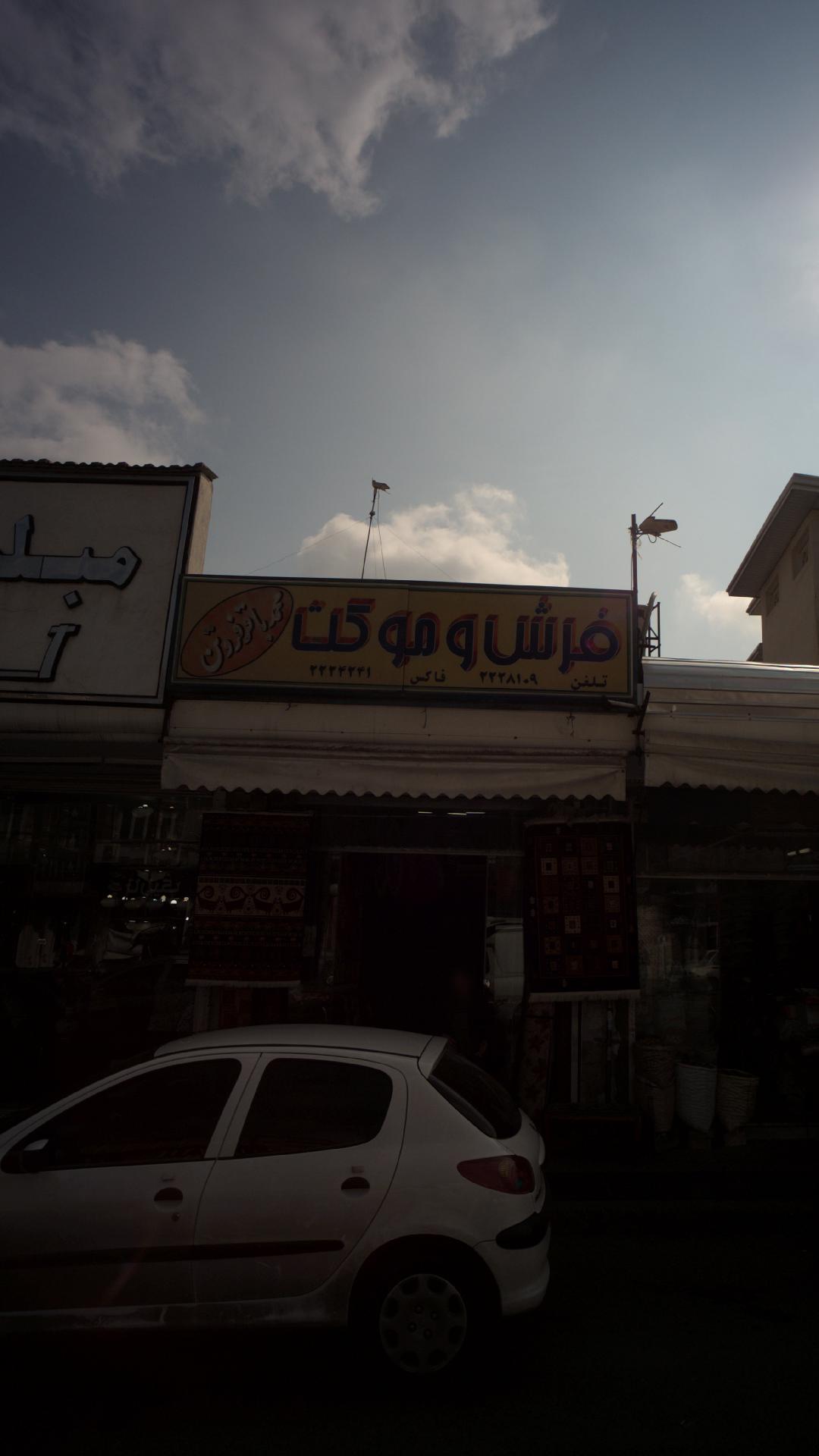فروشگاه فرش و موکت موسوی