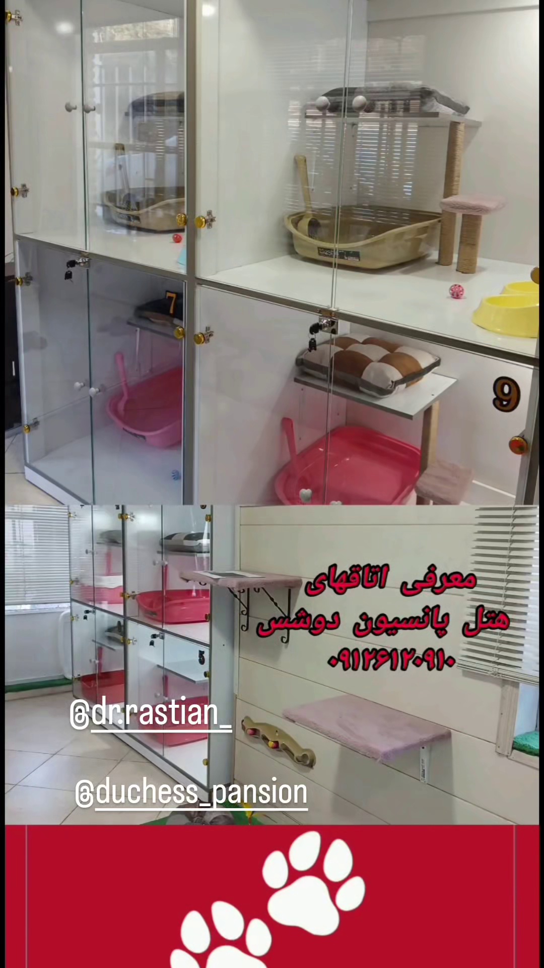 کلینیک دامپزشکی دکتر راستیان