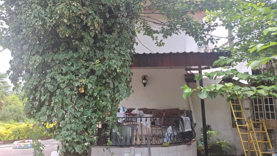 خدمات سمپاشی و موریانه زدایی نوآوران