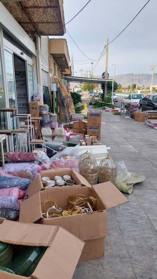 پخش گل نوین