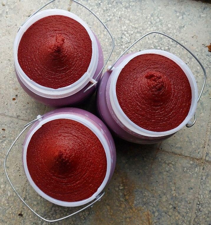 تولید مواد غذایی