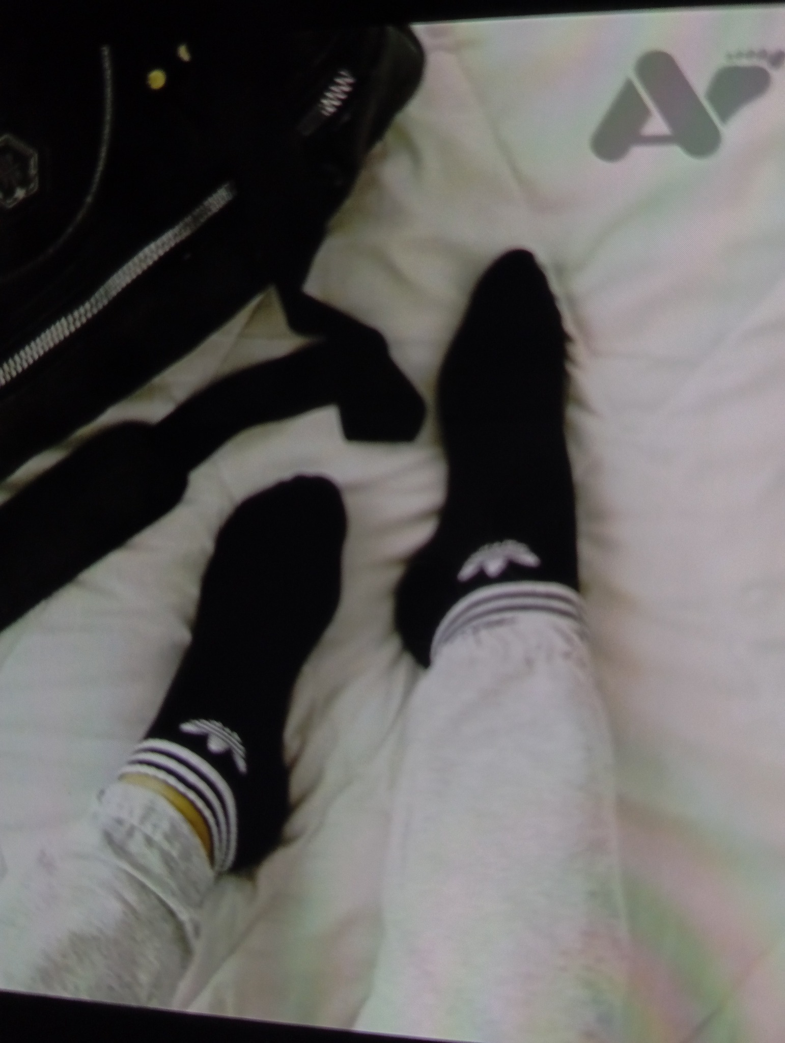 تولیدی جوراب اسپرت محبی