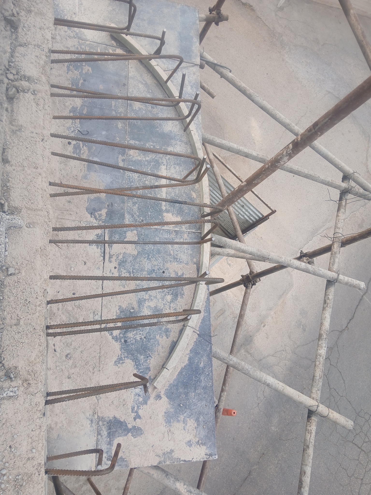 کاشت تخصصی میلگرد رئیسی