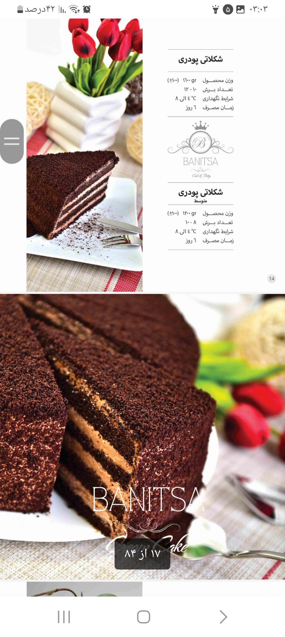 کیک های کافی شاپی