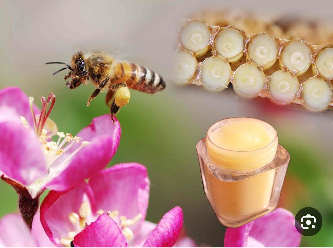 فروش عسل دنیای شهد