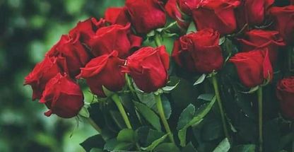 مدرسه تیزهوشان عصر امروز