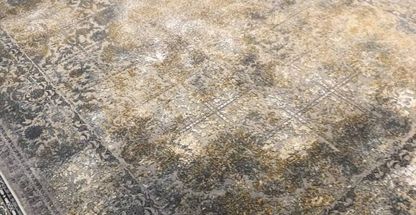 فرش وگلیم دلوین