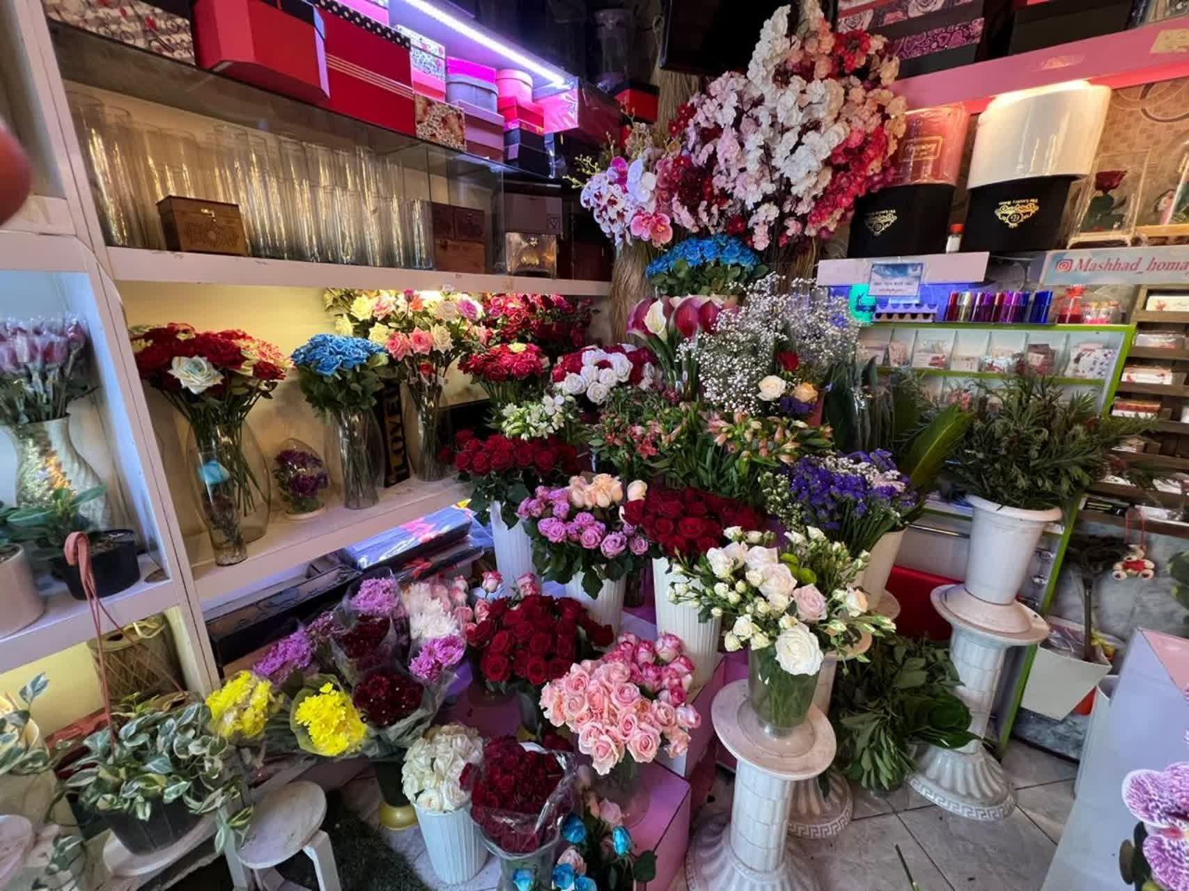 گلس ای همای دوستان