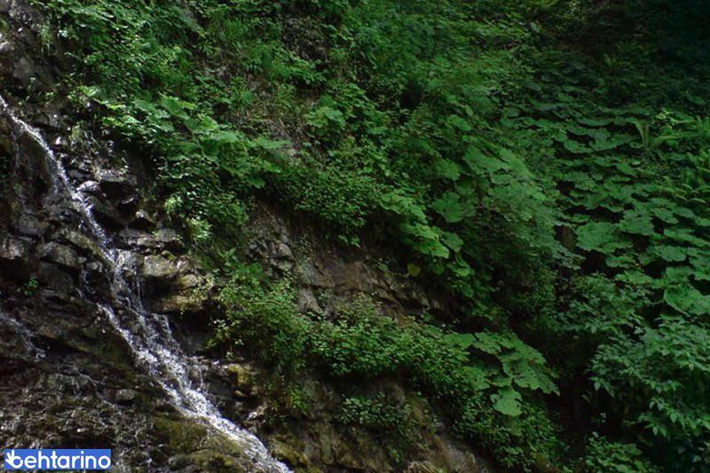 آبشار سنگ بن چشمه