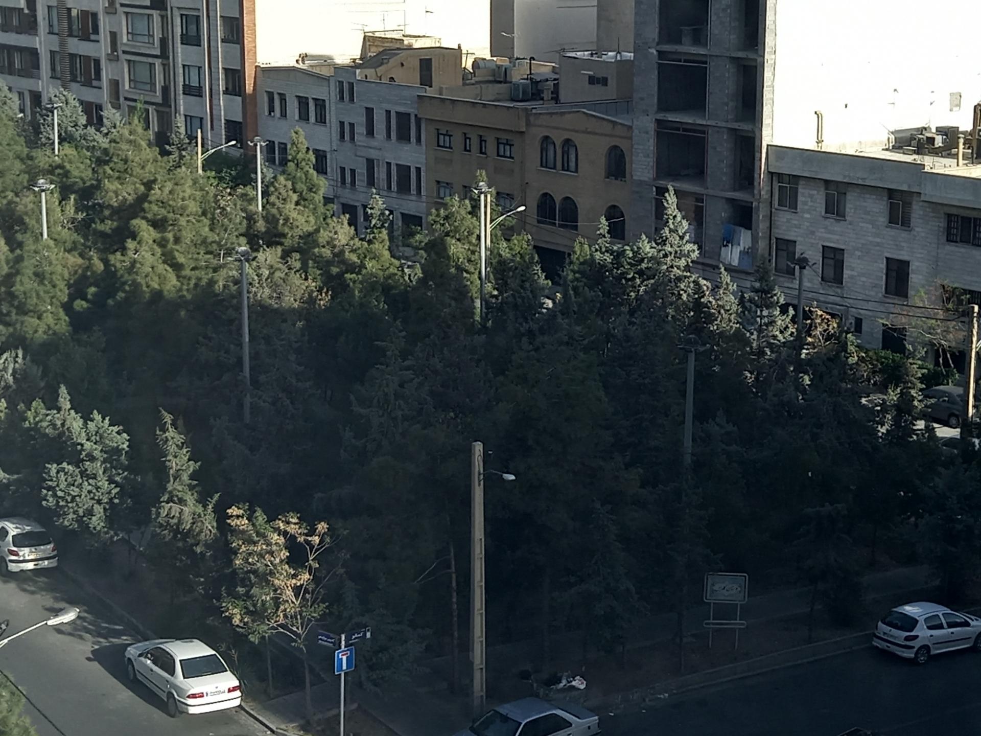 سرویس بهداشتی بوستان نارون