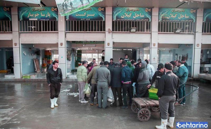 بازار ماهی تنکابن