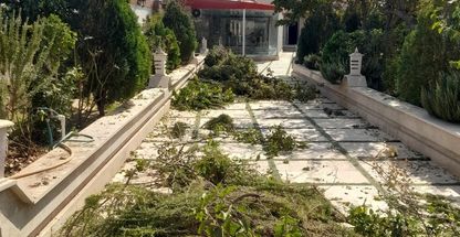 خدمات کشاورزی موسی سعادتی مقدم