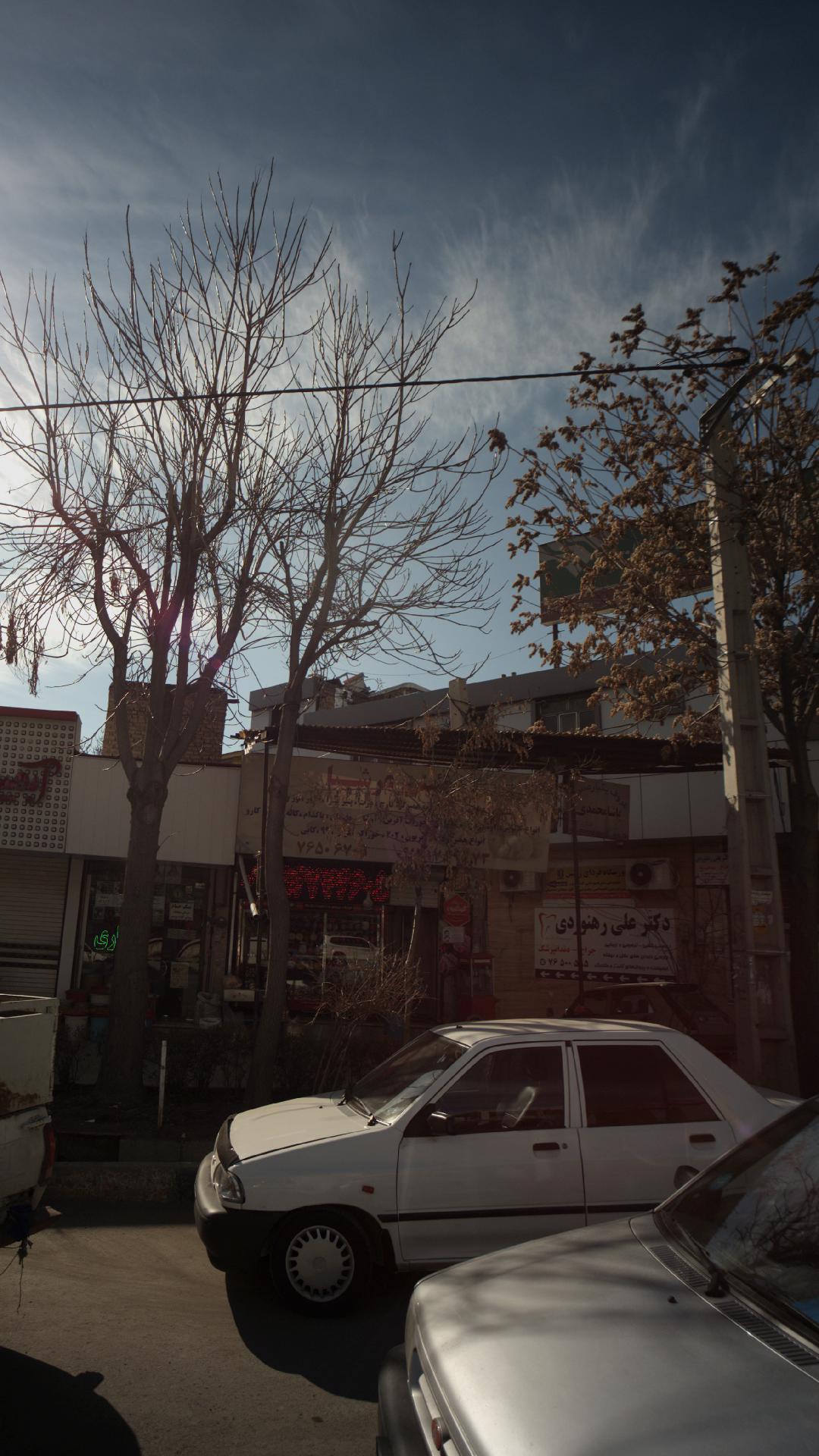 دکتر مسعود همایونی
