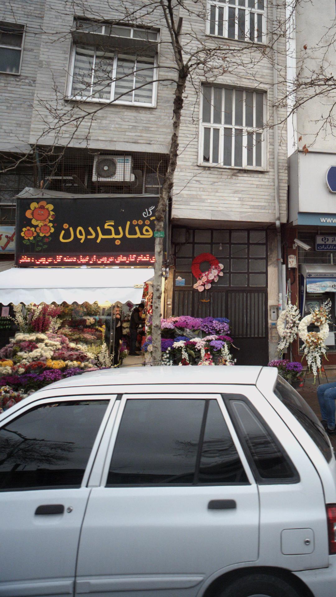 گل آفتابگردون