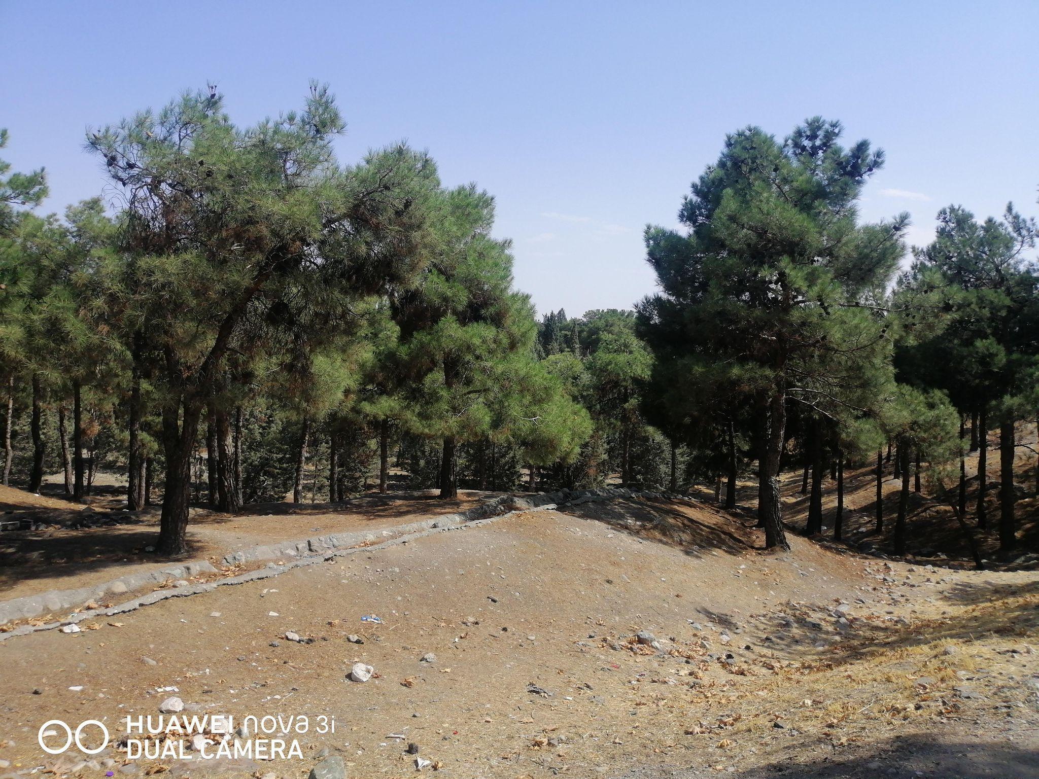 بوستان خرگوش دره