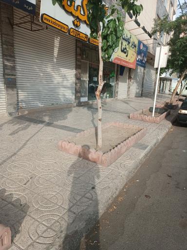 ایستگاه اتوبوس گلدیس 19