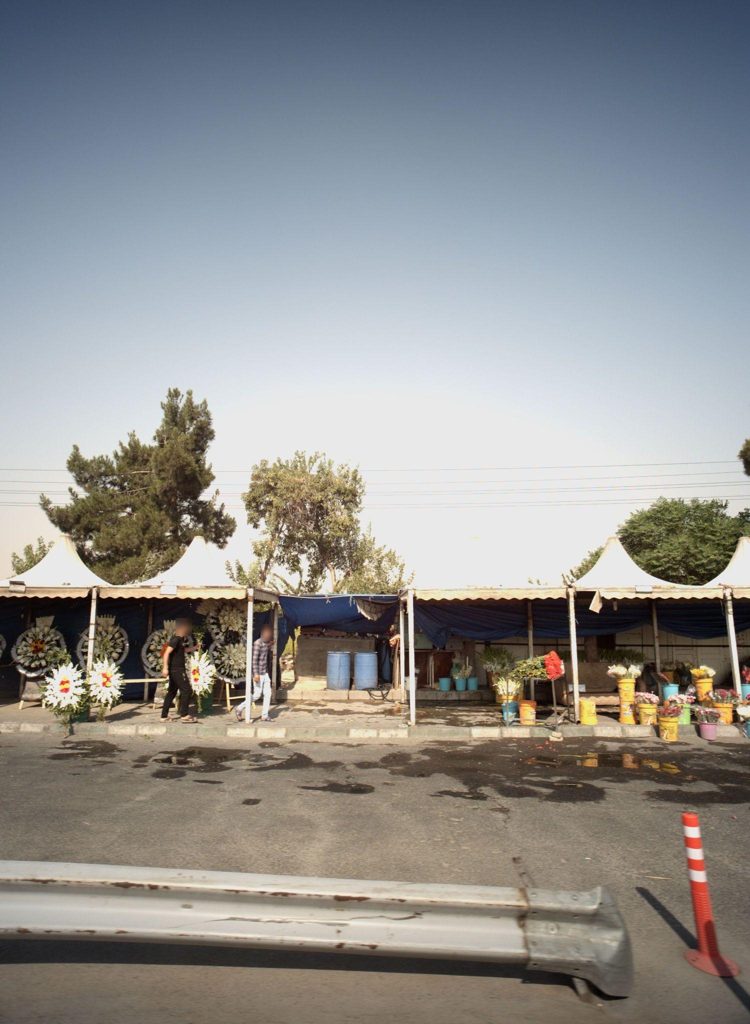 فروشگاه گل و گیاه