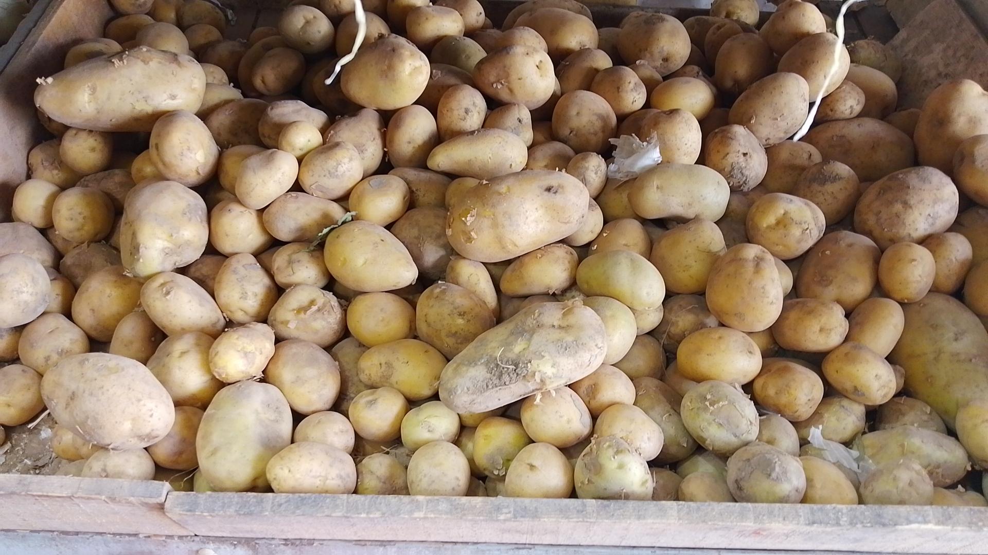 میوه و تره بار حسن پور