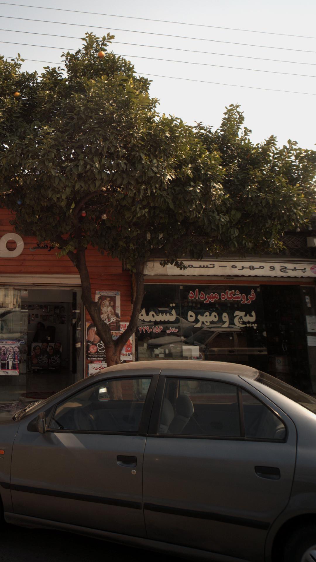 فروشگاه مهرداد