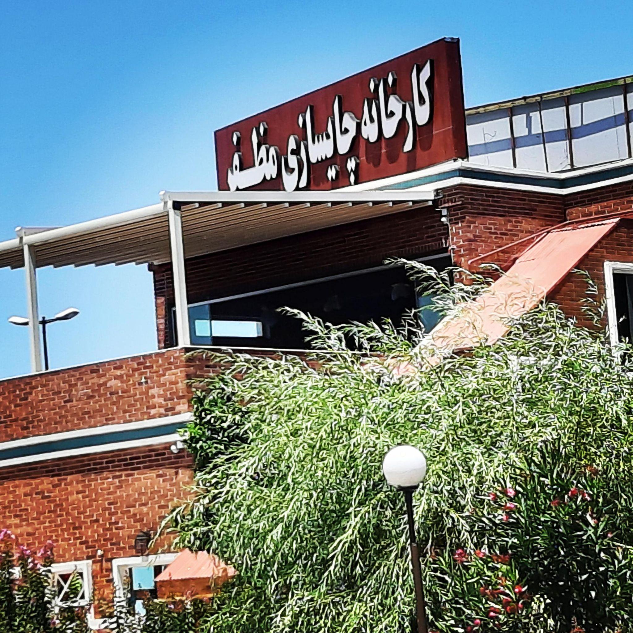 کارخانه چایسازی مظفر  باغ مظفر 