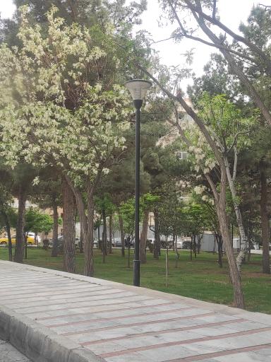 پارک میخک