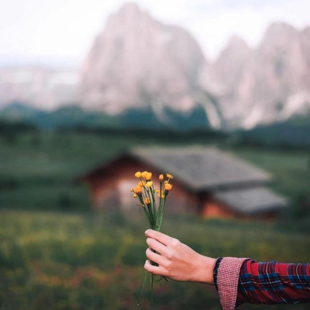 مرکز مشاوره و آموزش