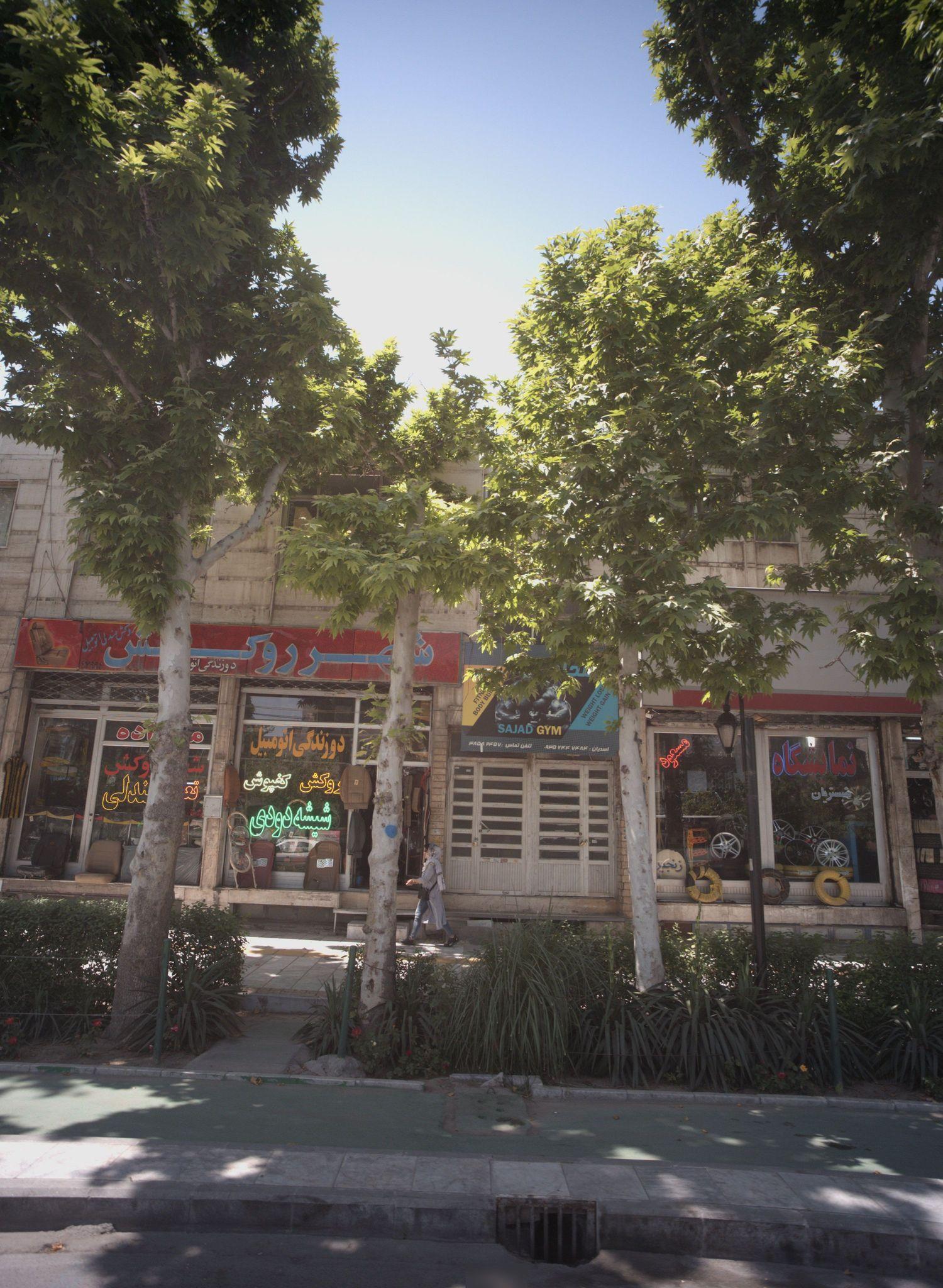 پرورش اندام سجاد