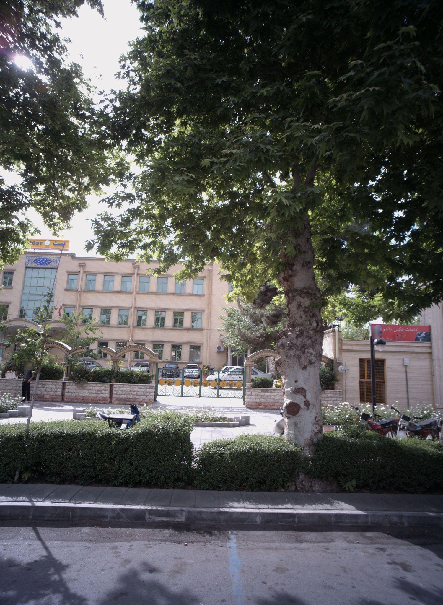 خدمات عکس و فیلم ترنم