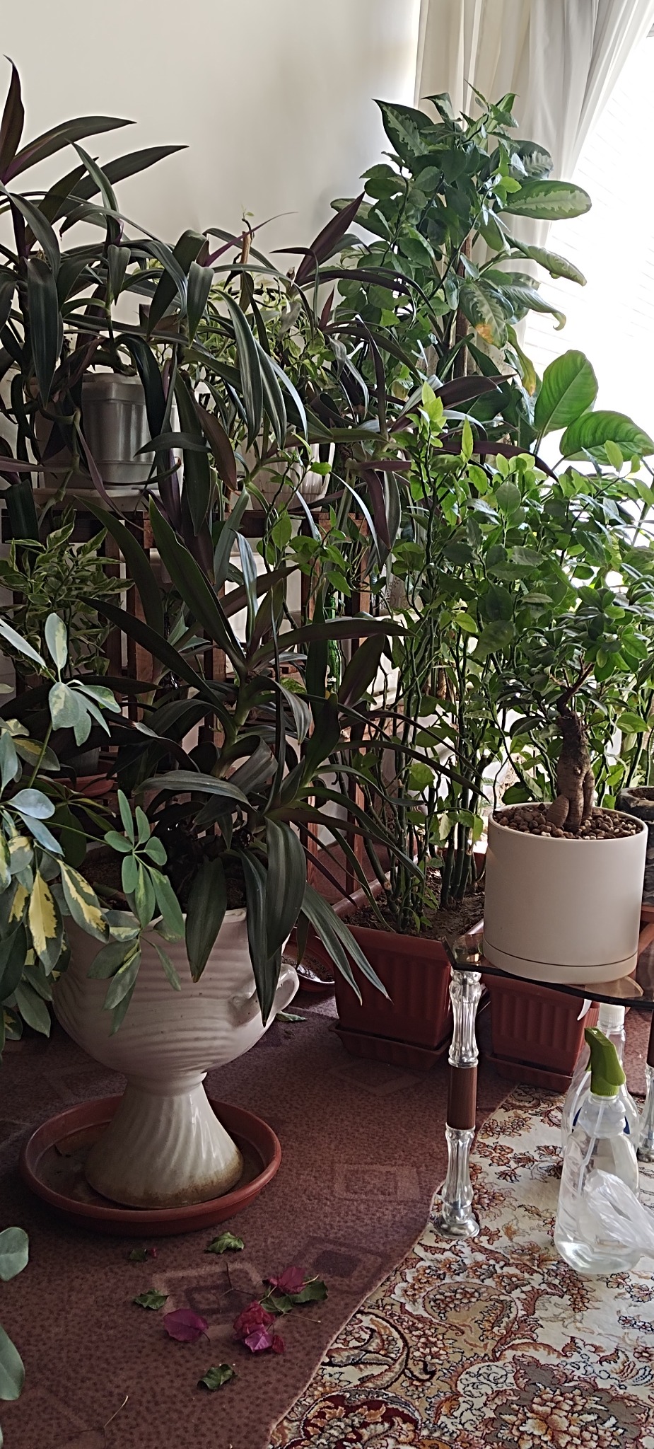 فروشگاه کود و سم خدمات کشاورزی