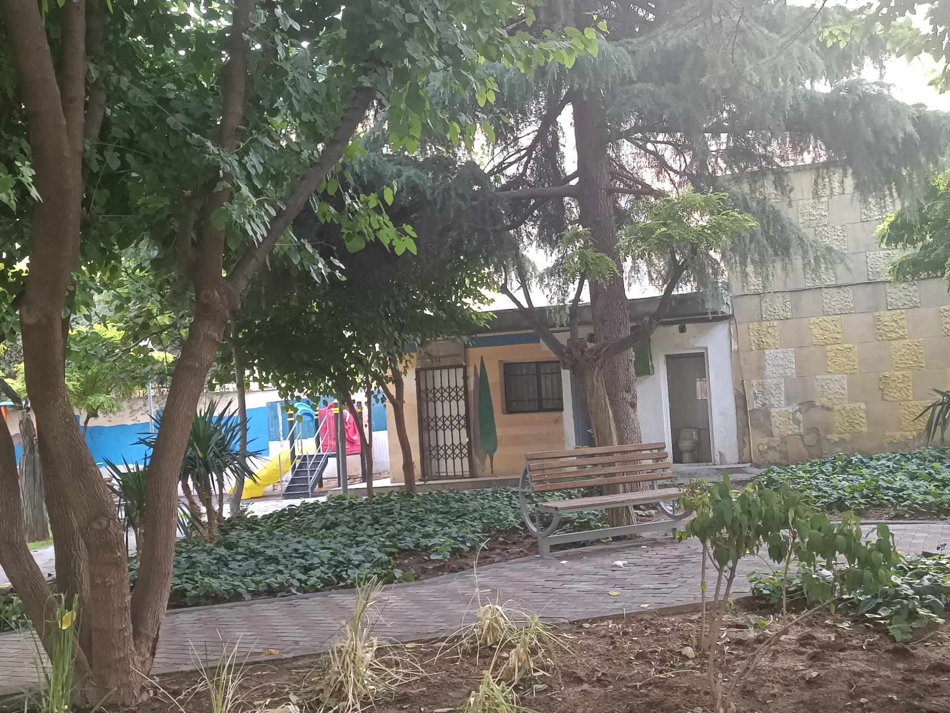 سرویس بهداشتی