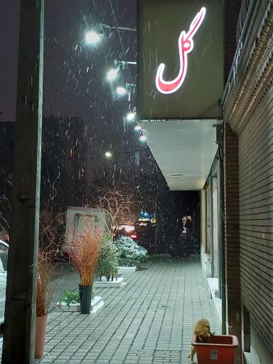 ایرن