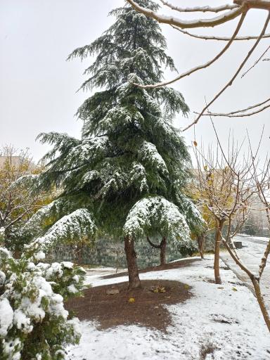 بوستان