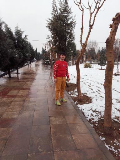بوستان گل زنبق