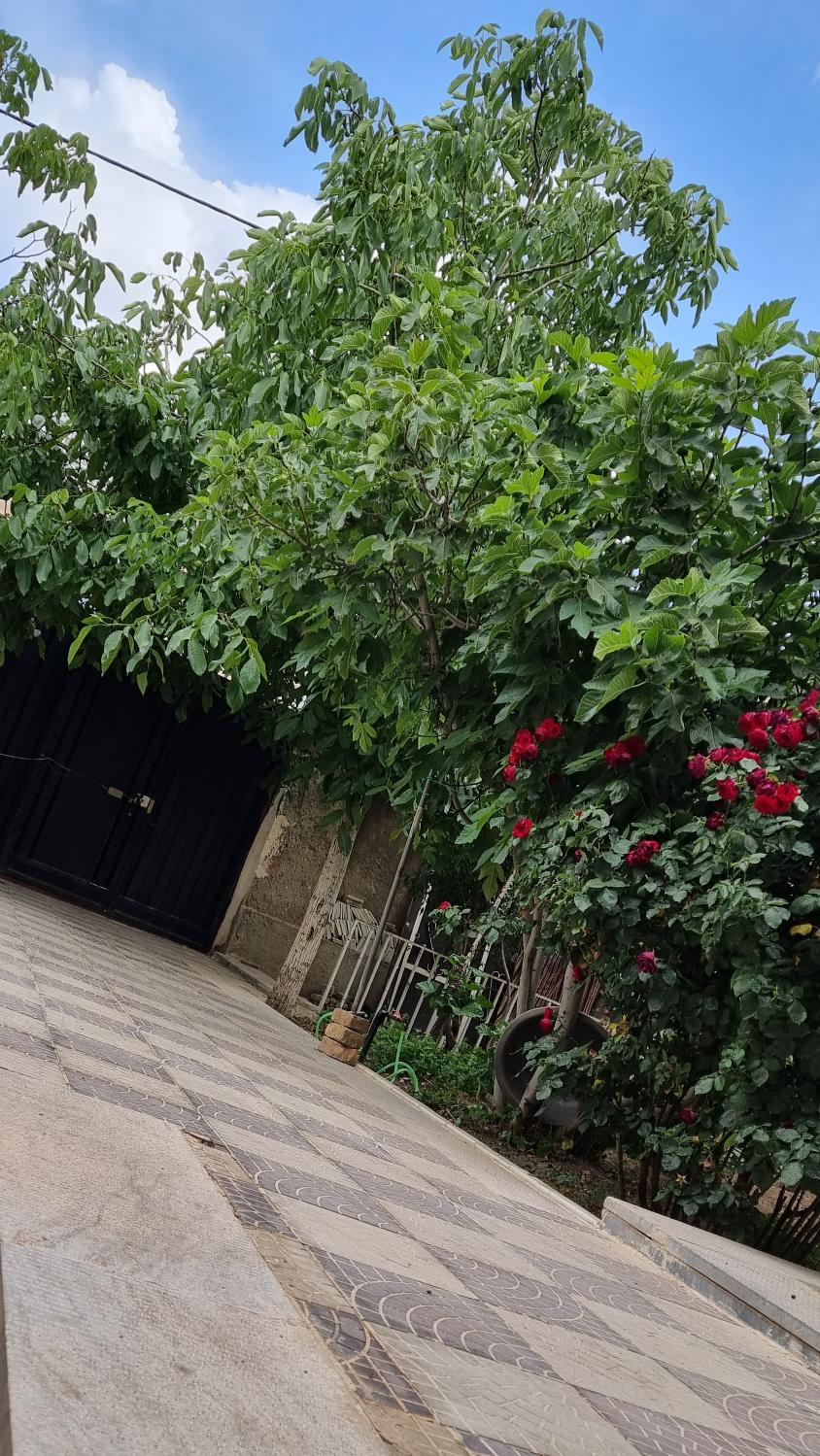 سوئیت اجاره ای ارزان