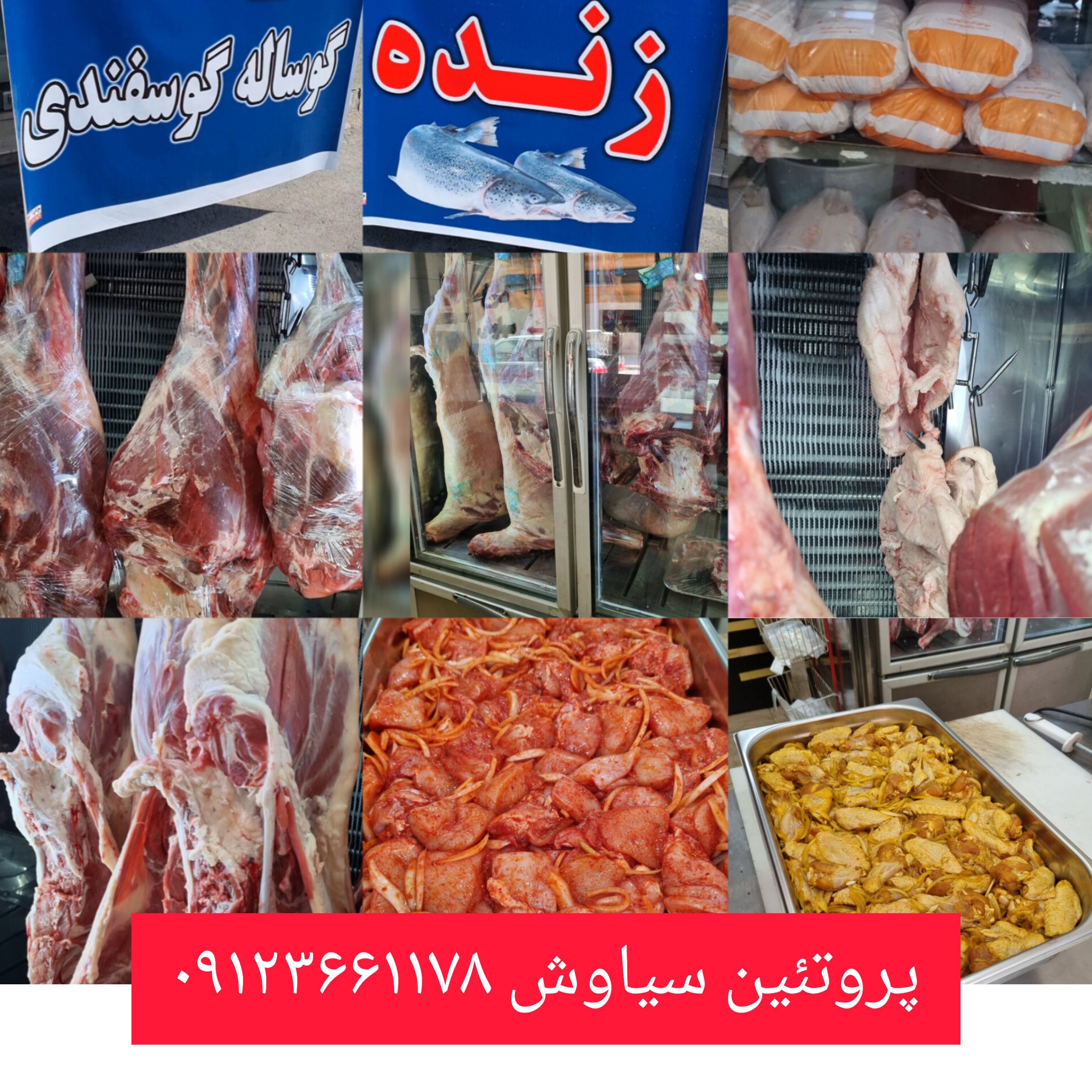 سوپر پروتئین سیاوش