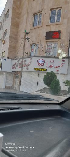 تهیه غذای آرمین