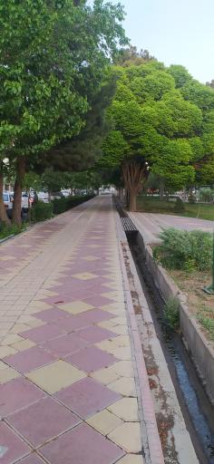 سرویس بهداشتی بوستان سمیه