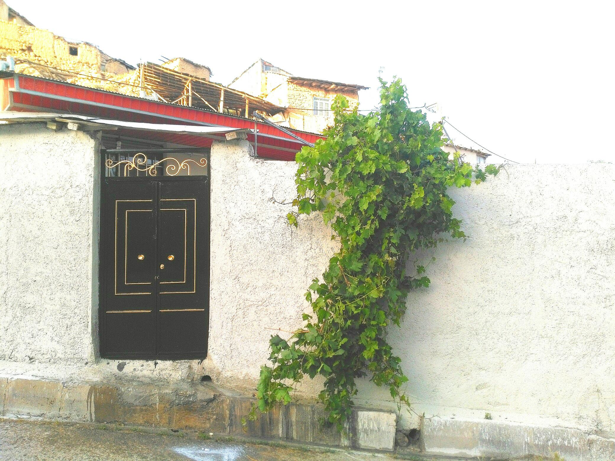 سوئیت ویلا دربستی