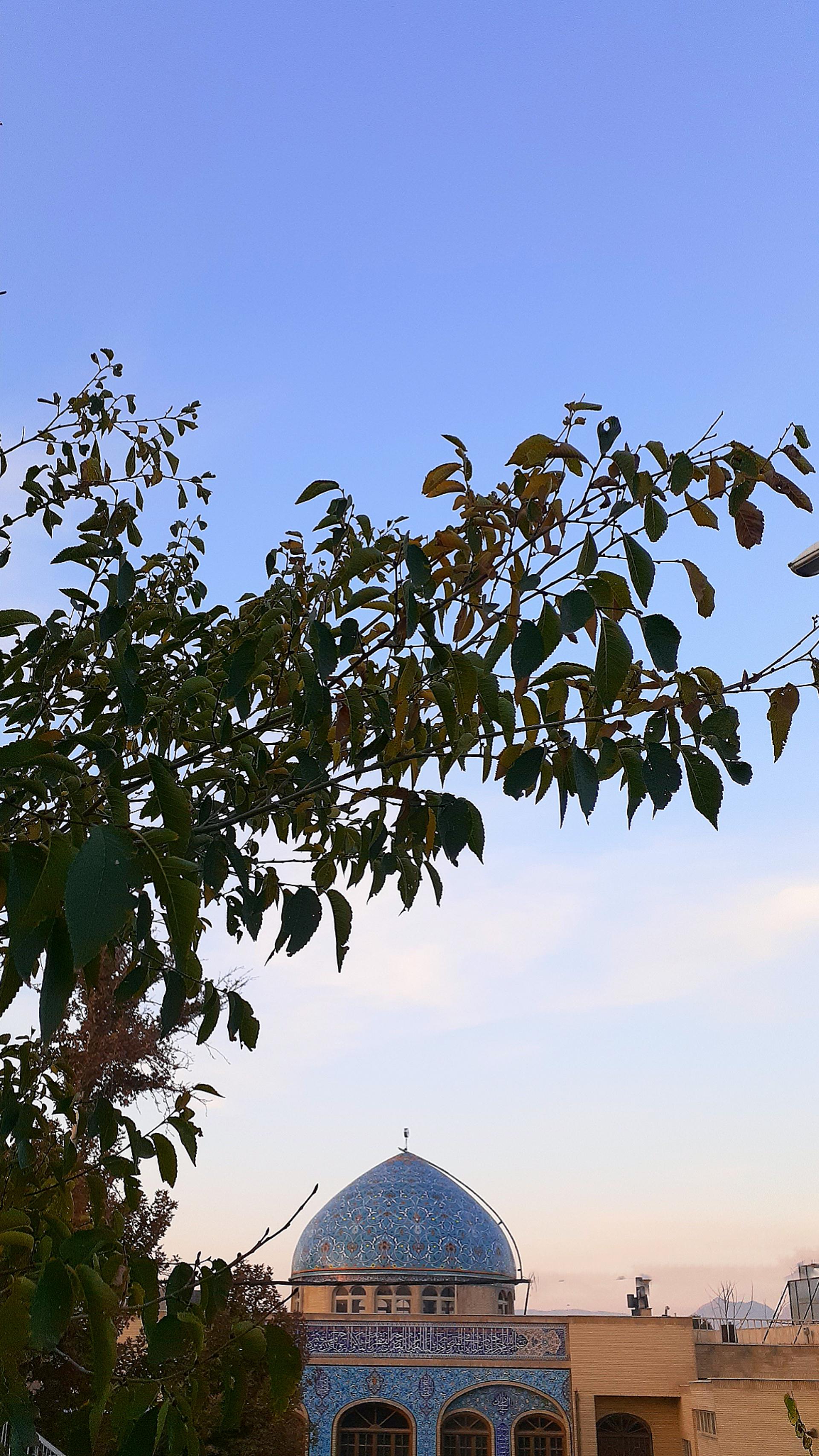 مسجد امیرالمومنین