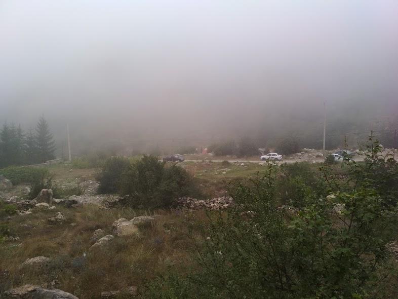 پارک جنگلی رودبارک