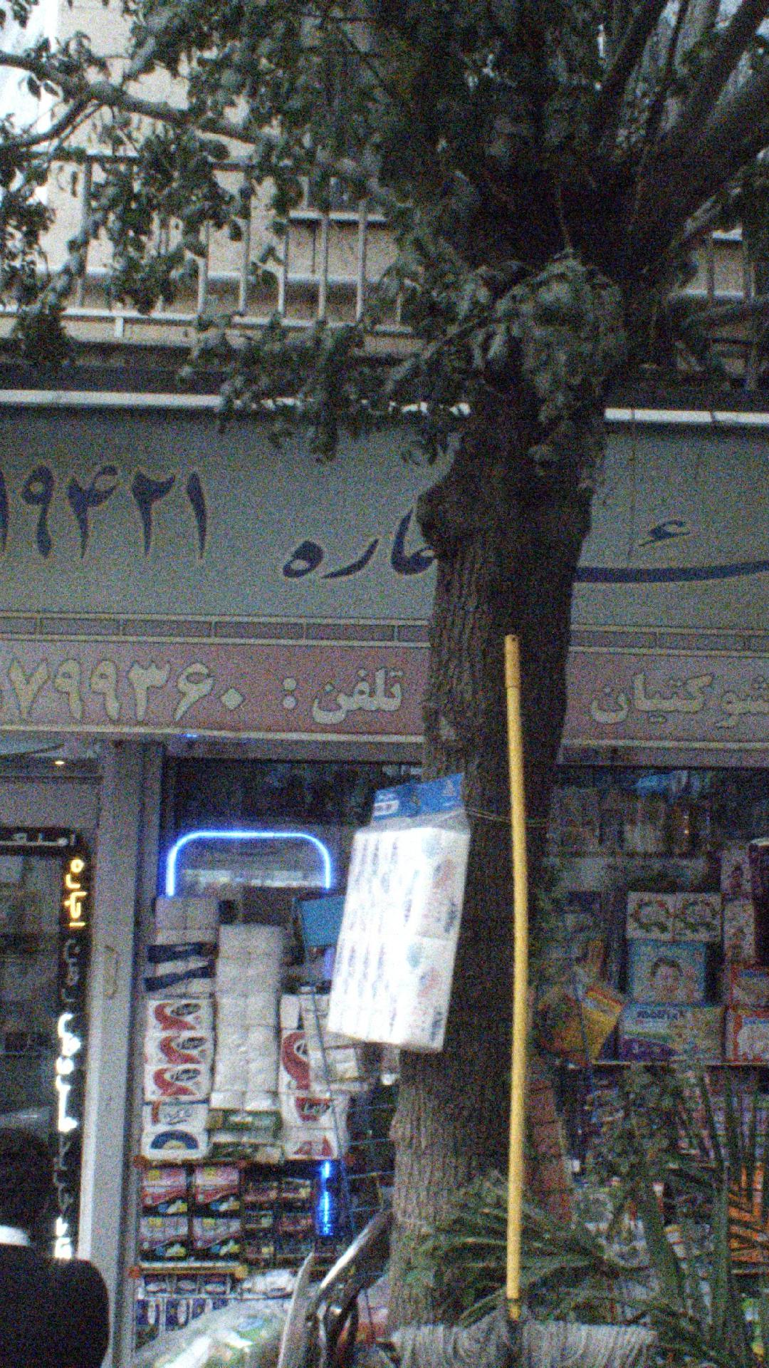 گالری سعید
