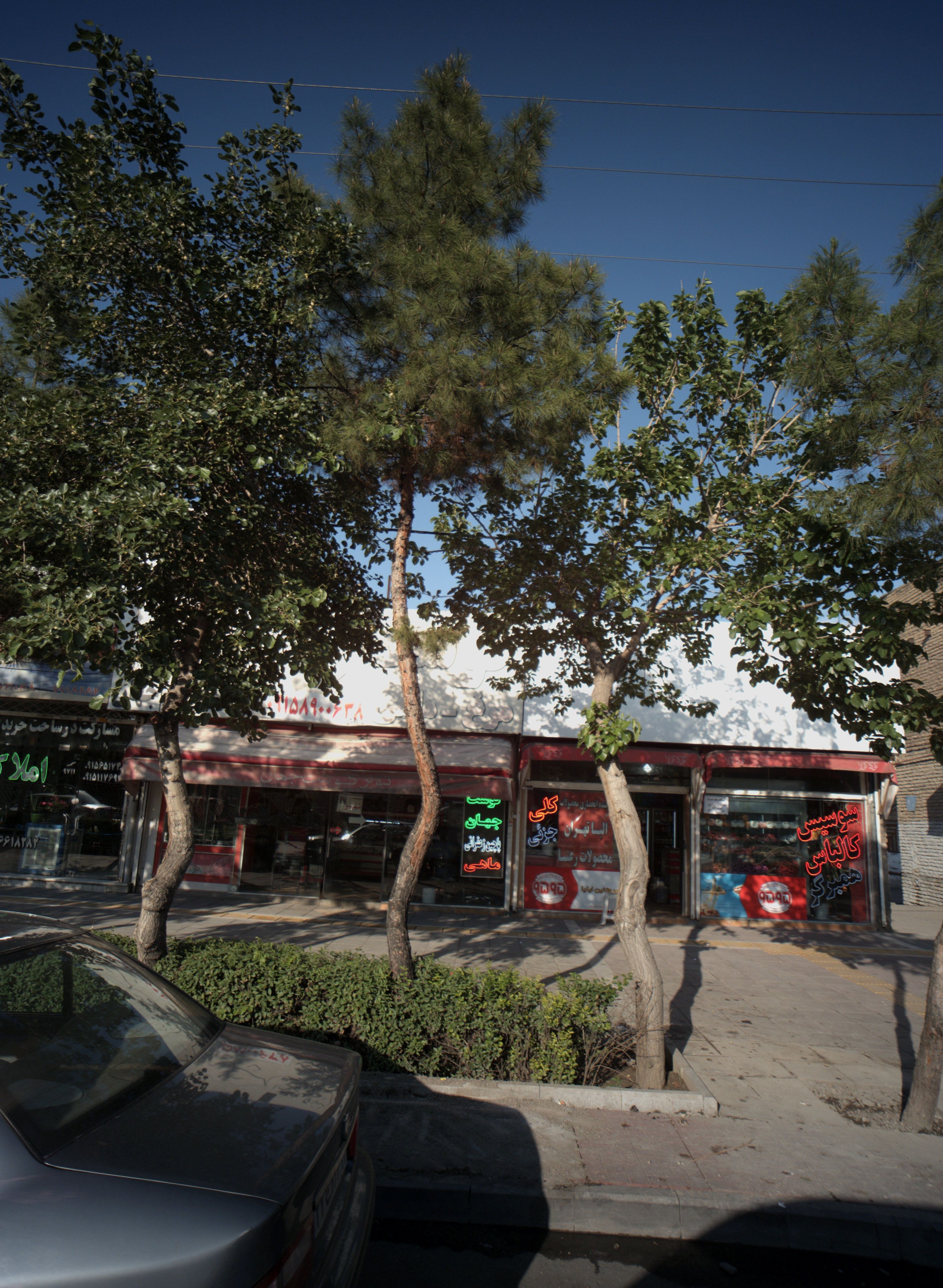 گوشت جهان سلامت