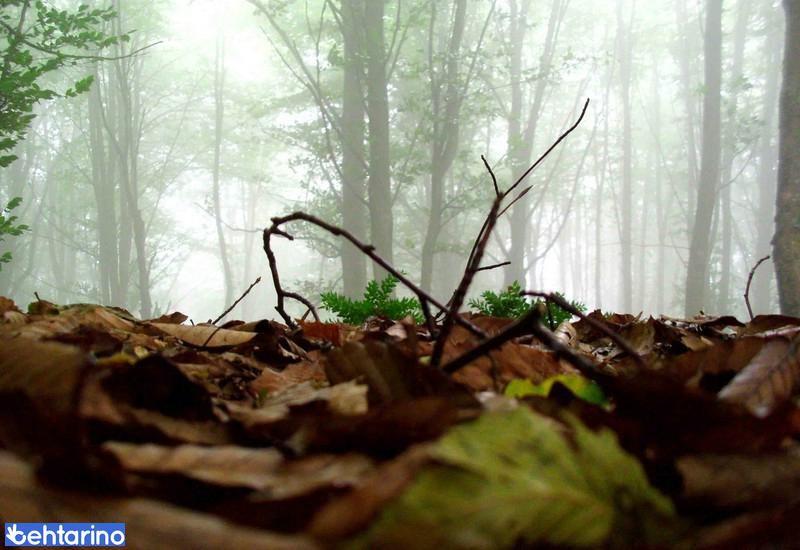 منطقه توریستی لیلاکوه